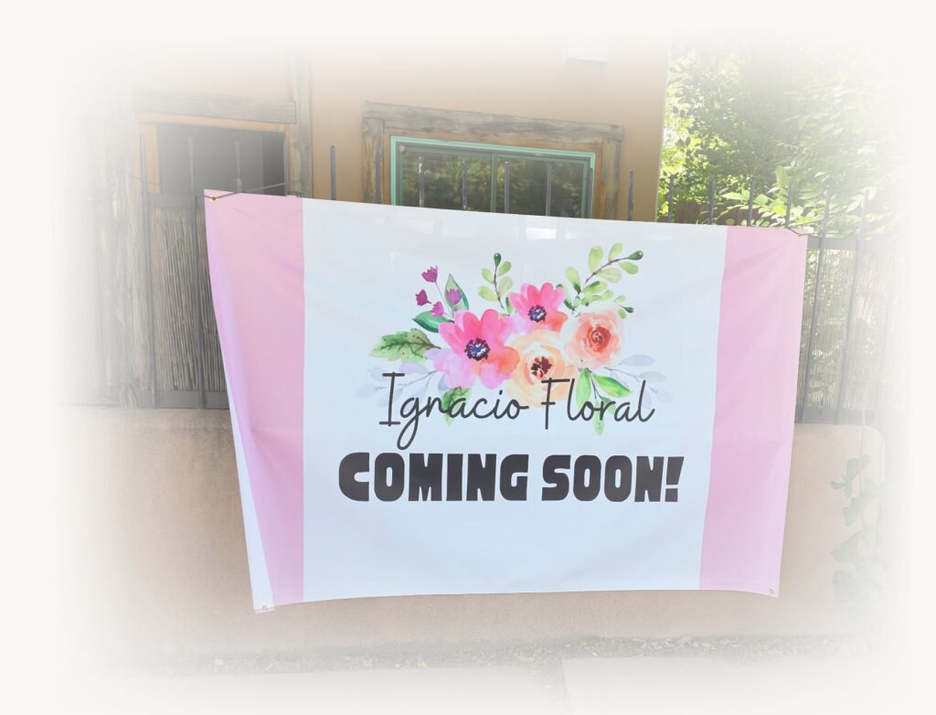 untitled 2 copy cropped