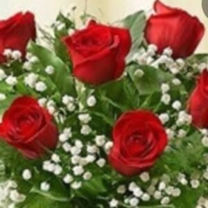 1/2 Dozen Wrapped Roses