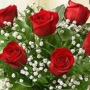 Arranged ( 1/2 Dozen)